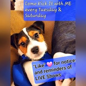 @bethybd LIVE Sat.,April 11/422pmEST Spring Fling-Teal, Plum, Yellow,Green See⬇️